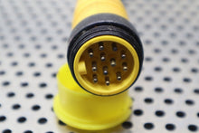 Load image into Gallery viewer, Lumberg ASB 4/LED 5/4-12-RS120M/1F Distribution Block Connector Used W/ Warranty