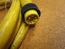 Load image into Gallery viewer, Brad Harrison 115020A01F060 CORD SET MINI-CHANGE 5PIN 6FEET 16/5 PVC