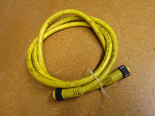 Load image into Gallery viewer, Brad Harrison 115020A01F060 CORD SET MINI-CHANGE 5PIN 6FEET 16/5 PVC