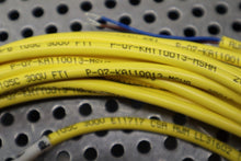 Load image into Gallery viewer, Turck U2515-66 PKG 3M-6 Cordsets 4A 125V New Old Stock (Lot of 5)