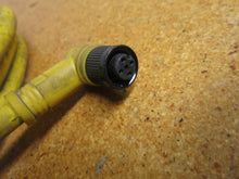 Load image into Gallery viewer, Woodhead Connectivity Brad Harrison 884033C02M020 Cordset 4Amps 250V Used