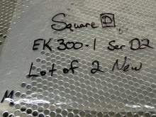 Load image into Gallery viewer, Square D EK300-1 Ser D2 Electrical Interlocks New Old Stock (Lot of 2)
