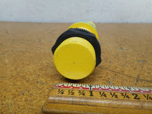 Load image into Gallery viewer, Turck BC10-P30SR-VP4X Capacitive Proximity Sensor 10mm 10-65VDC Used W/ Warranty
