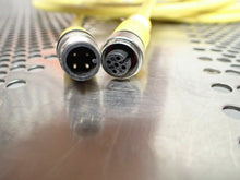 Load image into Gallery viewer, Turck U5265 RKC 4.4T-3-RSC 4.4T Cordsets 120&quot; Long Used With Warranty (Lot of 2)
