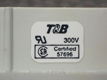 Load image into Gallery viewer, Thomas &amp; Betts 300V 10A 250V Female Connector No Housing New Old Stock
