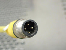 Load image into Gallery viewer, Turck U2143-4 RSC 4.4T-5 Euro Fast Cordsets 192&quot; Long Used (Lot of 4)

