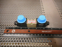 Load image into Gallery viewer, Numatics 031SS4002000020 (3) Solenoid Valves 150PSIG W/ 237-963B 24V 50/60Hz New
