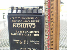 Load image into Gallery viewer, Industrial Solid State Controls, Inc. 1213 Sensitive Relay 115V 50/60Hz Lot of 2
