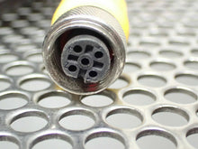 Load image into Gallery viewer, Turck U99-12125 RKS 4.4T-10-RSS 4.4T Euro Fast Cordset Used With Warranty
