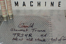 Load image into Gallery viewer, Gould Shawmut Tri-Onic TRS4R Ruses 4A 600VAC New Old Stock (Lot of 2)
