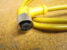 Load image into Gallery viewer, Turck U2222-250 WKB 3T-1-SB 3T/XOR Cable 3P
