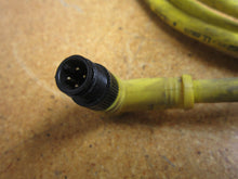 Load image into Gallery viewer, Woodhead Connectivity Brad Harrison 884033C02M020 Cordset 4Amps 250V Used
