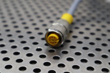 Load image into Gallery viewer, Turck U2159 RK 4T-6 Cordset 4A 250V New Old Stock See All Pictures
