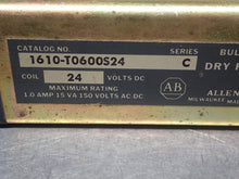 Load image into Gallery viewer, Allen Bradley 1610-T0600S24 Ser C Dry Reed Relay 24VDC Coil Used (Lot of 2)
