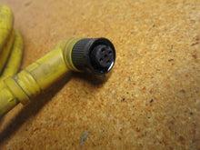 Load image into Gallery viewer, Woodhead Connectivity Brad Harrison 884033C02M020 Cordset 4Amps 250V Used
