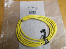 Load image into Gallery viewer, Brad Harrison 290-4459 5P Female Connector M8 Straight PVC 2M New
