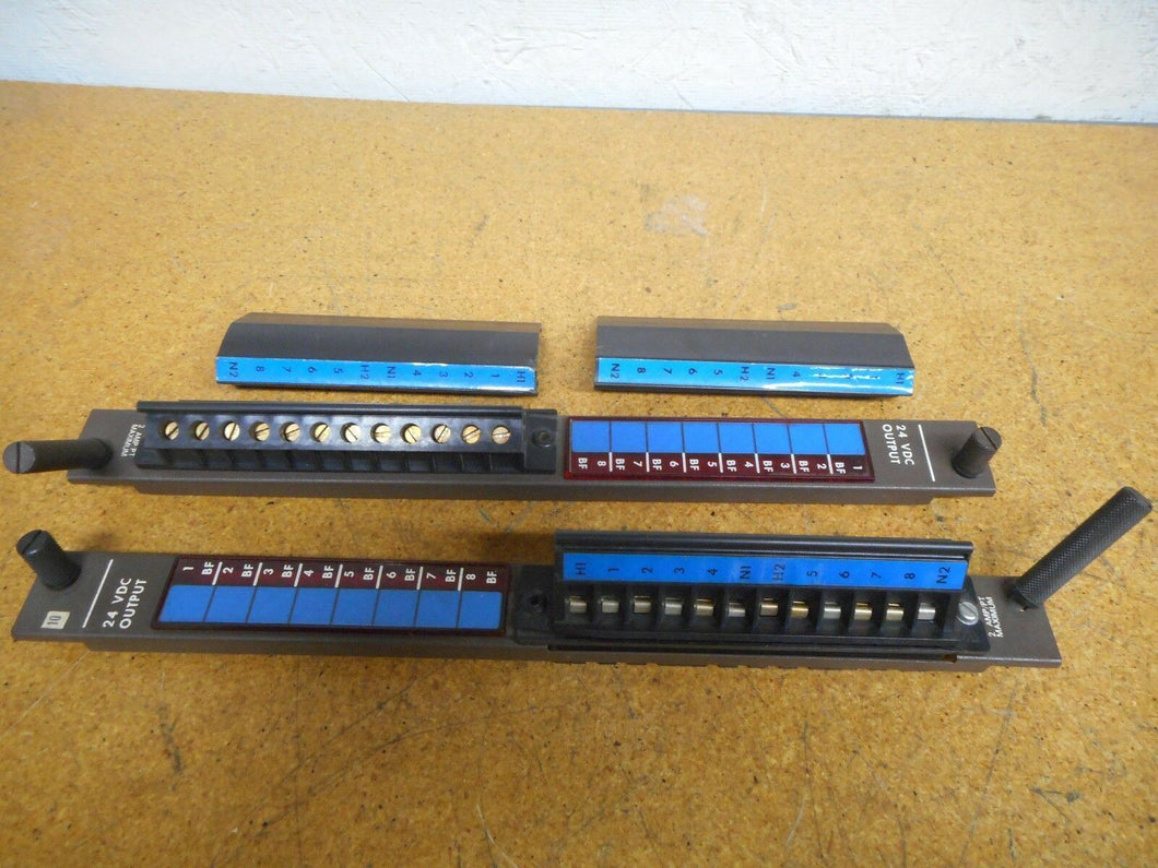 GE Fanuc IC600FP908B 24VDC Output Module Face Plates Used (Lot of 2)
