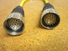 Load image into Gallery viewer, Turck U4706-77 CSM CKM 19-15-0.5 19Pin Male And Female Connector New Old Stock
