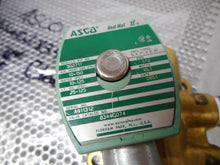 Load image into Gallery viewer, ASCO 8344G074 Solenoid Valve Pipe 1/2 10.1Watts Used With Warranty

