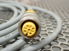 Load image into Gallery viewer, Turck U2445-11 RK 4.4T-2.5-RS 4.4T Euro Fast Cordsets 96&quot; Long Cable (Lot of 3)
