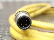Load image into Gallery viewer, Turck U2143-73 RSC 4.4T-2 Euro Fast Cordset 4P Male Connector Used (Lot of 2)
