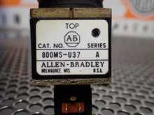 Load image into Gallery viewer, Allen Bradley 800MS-U37 Ser A Selector Switch W/ 24752-190-14 20K Ohm (Lot of 2)
