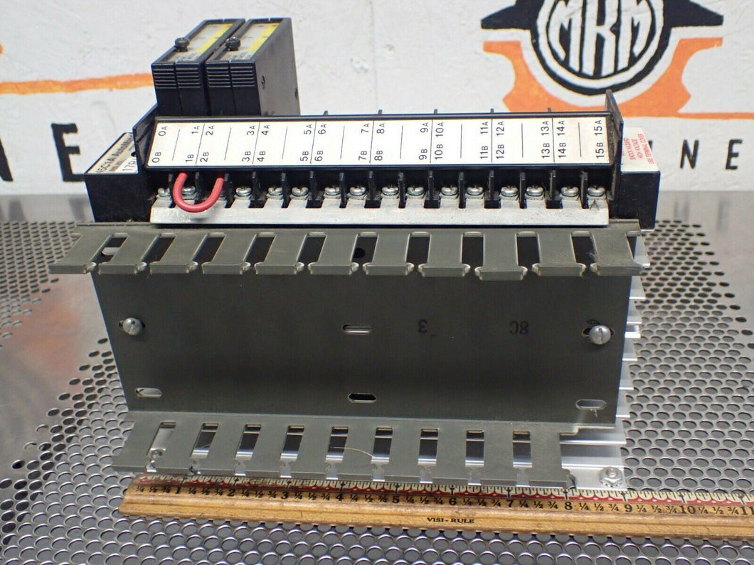 Reliance Elec. 45C1A Automate Programmable Controller (2) 45C40 Input Modules